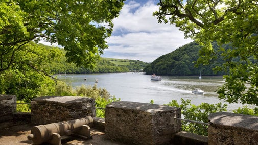 View of the Dart Estuary downstream from The Battery at Greenway, Devon